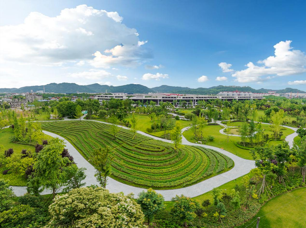 ĴֲbIboݶֲʽĿʽ粢(ͼ8)